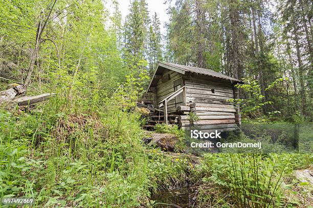 Old Mill Na Floresta - Fotografias de stock e mais imagens de Antigo - Antigo, Antiguidade, Ao Ar Livre