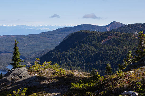 istock Panoramic view from Mt. Albert Edward Trail on Vancouver Island 497493378