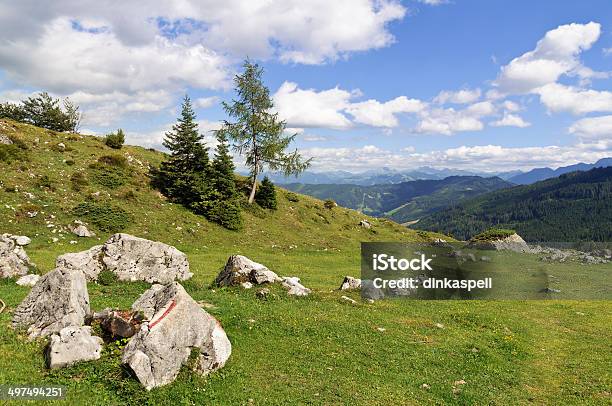 Pasture Of Stegmoosalm Muhlbach Am Hochkonig Salzburg Austria Stock Photo - Download Image Now