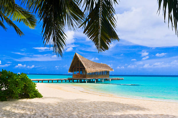 Diving club on a tropical island Diving club on a tropical island - travel background water bungalow maldives stock pictures, royalty-free photos & images