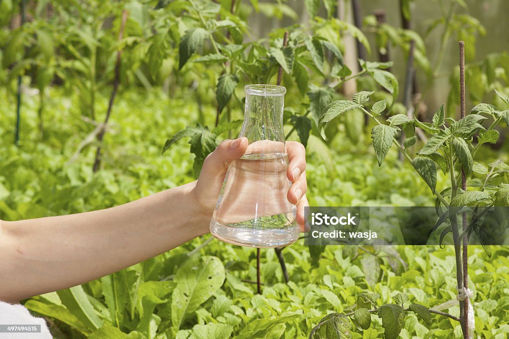 Test de pureté de l'eau, le liquid de Verrerie de laboratoire - Photo de Adulte libre de droits