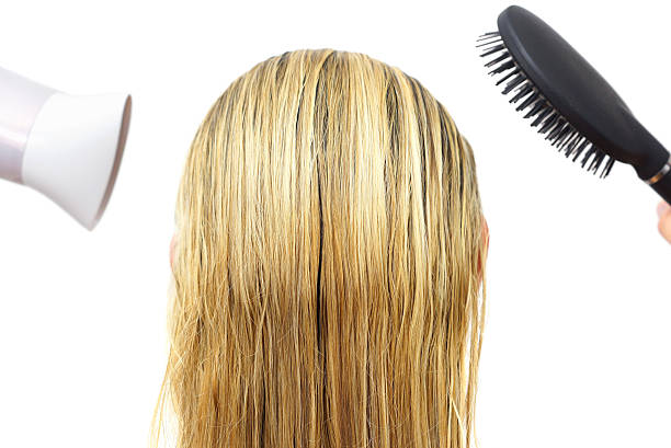 istock Woman using hairdryer  and hair comb 497494881