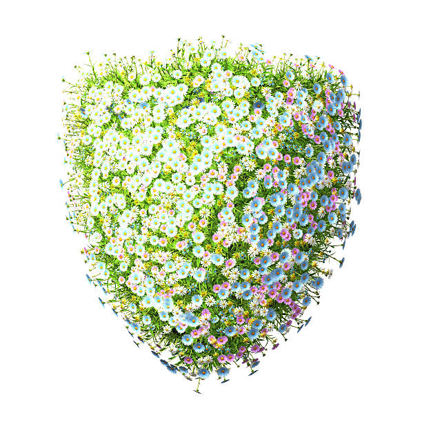 istock Shield of Flowers 497507980