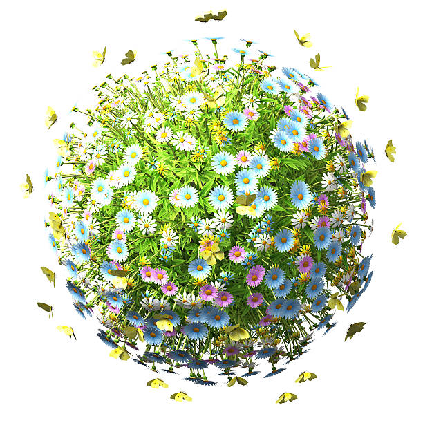 istock World Of Flowers 497508328