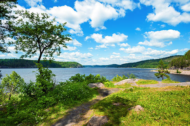 istock Russian nature in summer 497508368
