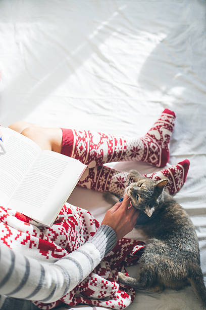 istock Girl in bed reading a book with her cat 497508474