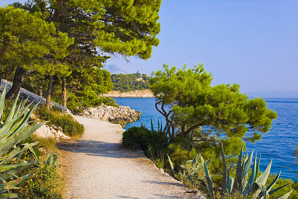 istock Pathway at Makarska, Croatia 497509586