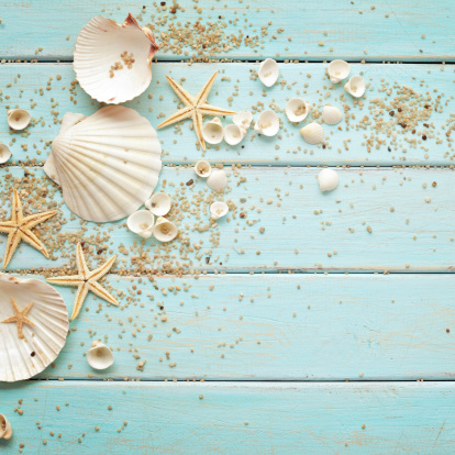 seashells and sand on wooden board