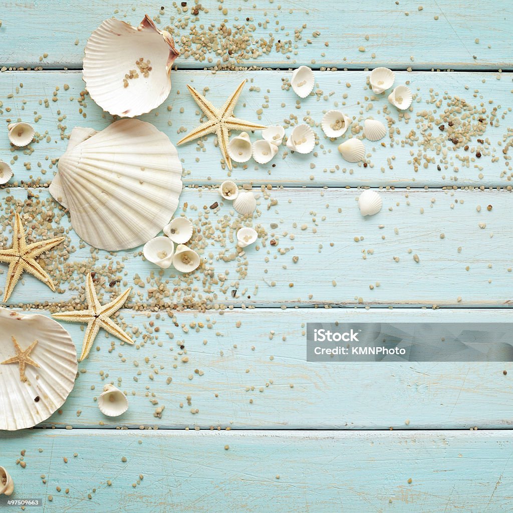 summertime background seashells and sand on wooden board Backgrounds Stock Photo