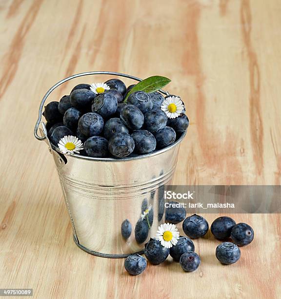 Blaubeeren In Einem Eimer Mit Daisy Blumen Stockfoto und mehr Bilder von Amerikanische Heidelbeere - Amerikanische Heidelbeere, Bauernberuf, Beere - Obst