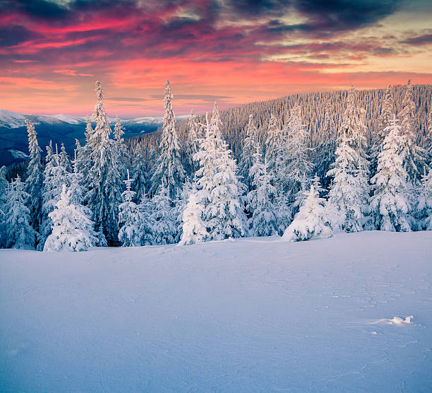 istock Colorful winter sunrise in the mountains 497510538
