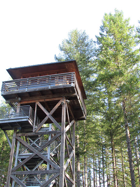 istock Fire Lookout Tower In Oregon 497510836