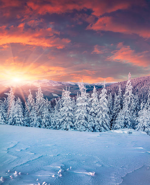 istock Colorful winter sunrise in the mountains. 497510870