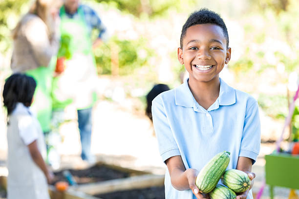 studente con zucchine ha scelto dai giardino in fattoria locale - orchard child crop little boys foto e immagini stock