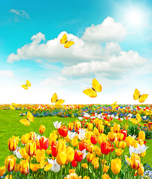 istock Flowers in green grass. Spring landscape with blue sky 497512974