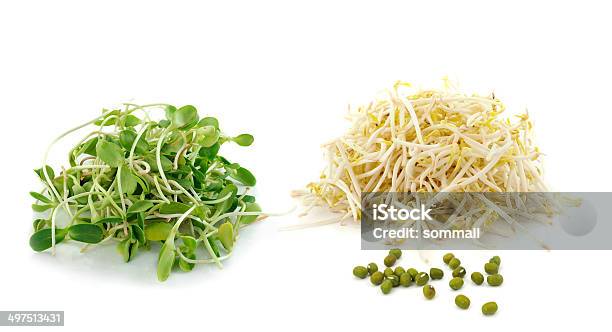 Bean Sprouts Isolated On White Background Stock Photo - Download Image Now - Backgrounds, Bean, Cooking