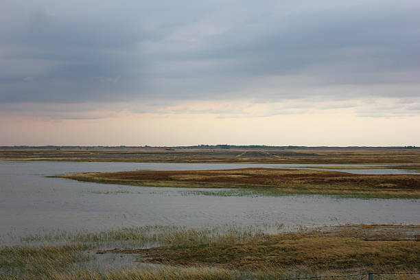 istock The dark clouds and grasslands, lakes 497514109