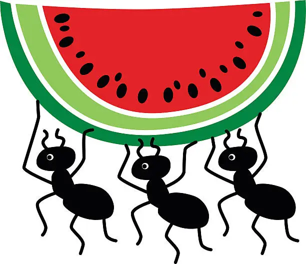 Vector illustration of ants stealing watermelon slice