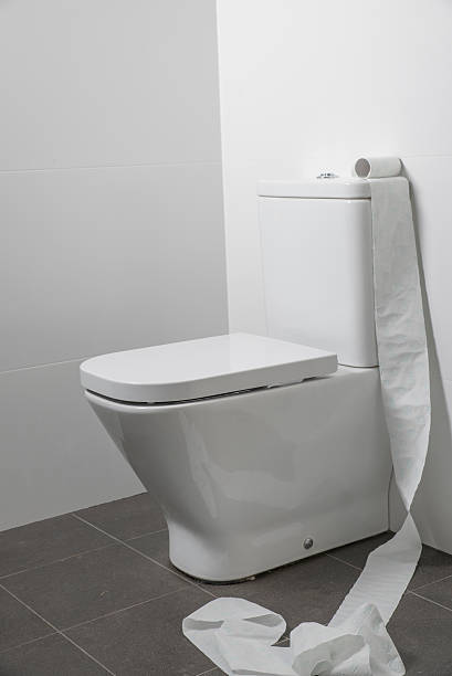 istock Toilet paper roll in bathroom 497516178