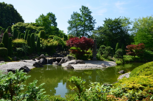 beautiful japanese garden in summer