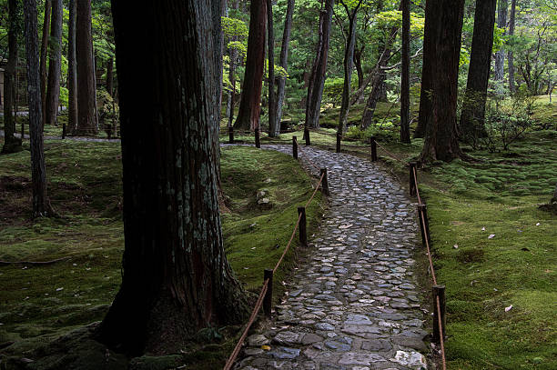 Moss garden in Kyoto stock photo
