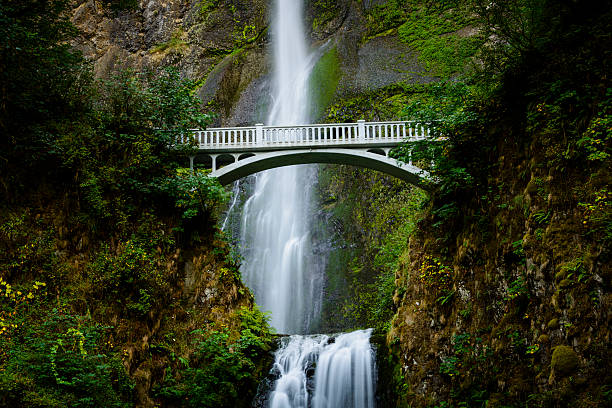 istock Multnomah Falls, Columbia River Gorge, Oregon 497516768