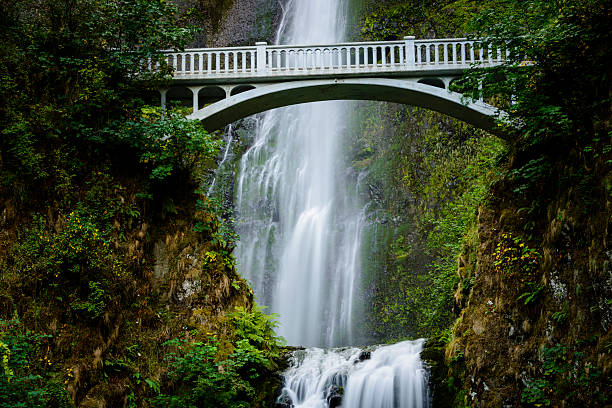 istock Multnomah Falls, Columbia River Gorge, Oregon 497516876