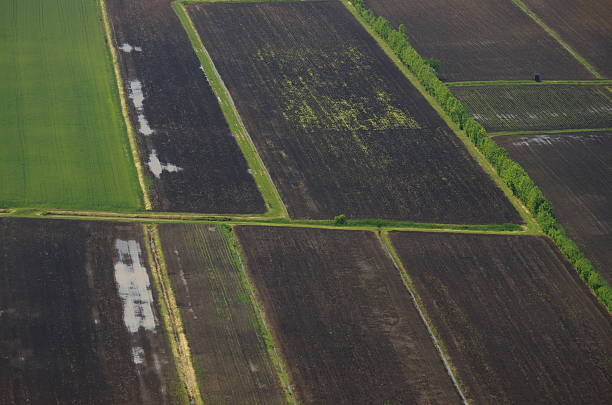 幾何学模様のフィールド - landscape aerial view lumber industry agriculture ストックフォトと画像