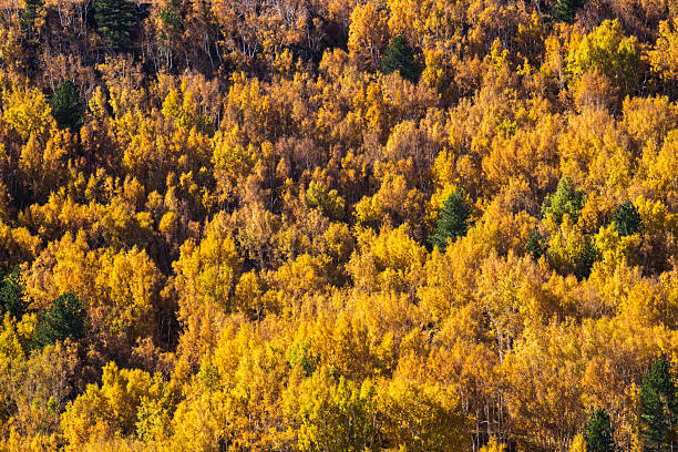 istock Volcano etna with colorful autumn 497518756