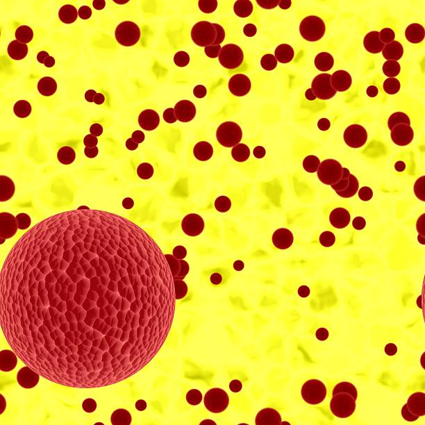 istock Bloody spheres of dangerous  bacteria or virus spheres in secretion 497519210