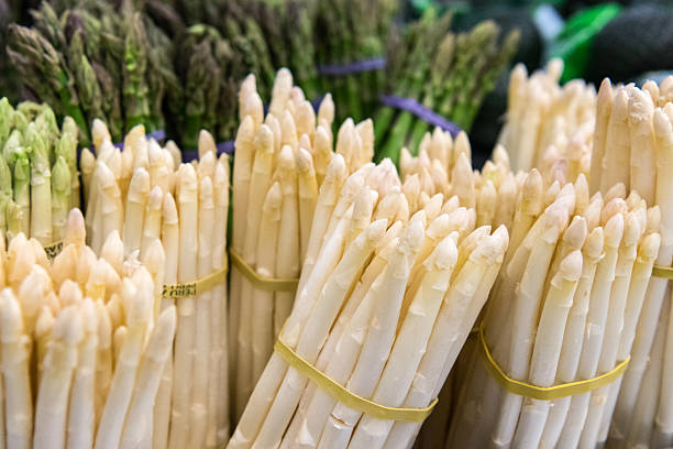 White and green asparagus stock photo