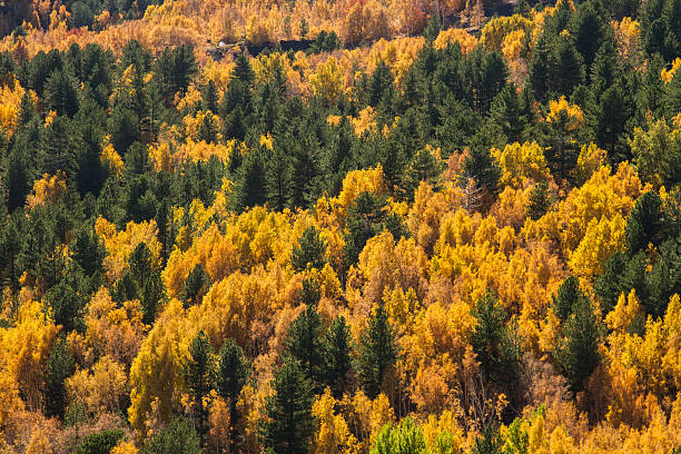 istock Volcano etna with colorful autumn 497521718
