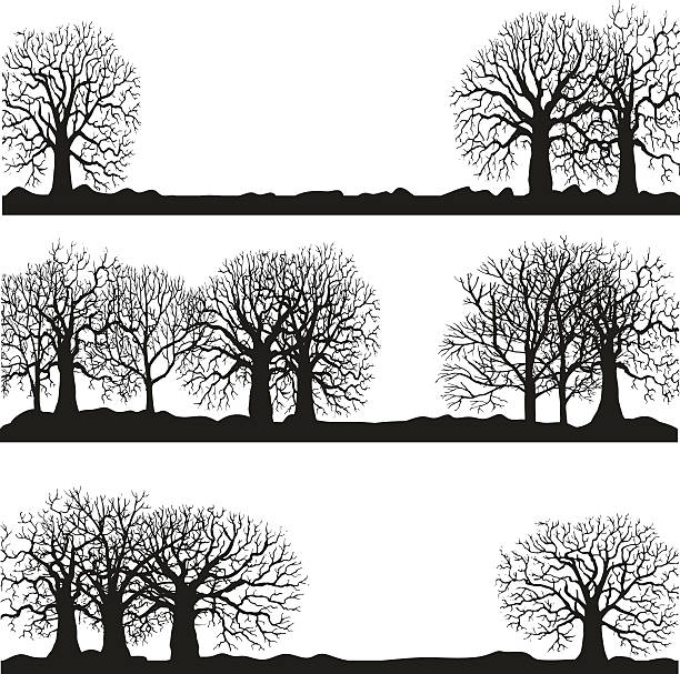 winter forest силуэты lanscapes - autumn backgrounds biology botany stock illustrations