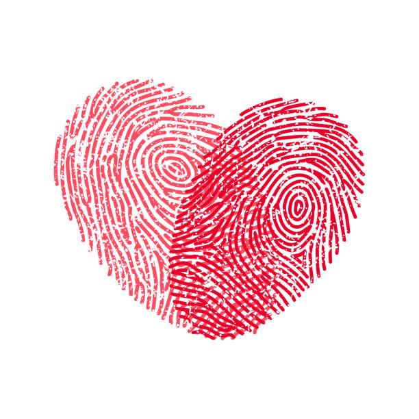 ilustrações, clipart, desenhos animados e ícones de impressão digital coração - fingerprint thumbprint identity red