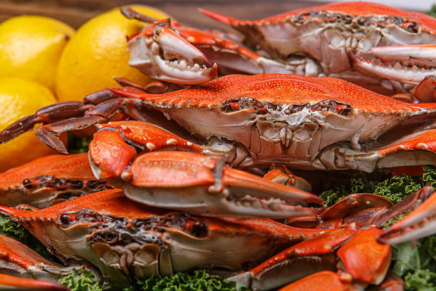 istock Steamed Blue Crabs on a wooden table 497526485