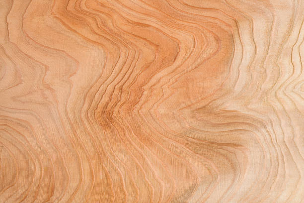 Beautiful plate of cedar wood