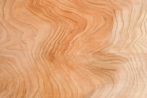 Photo of Beautiful plate of cedar wood