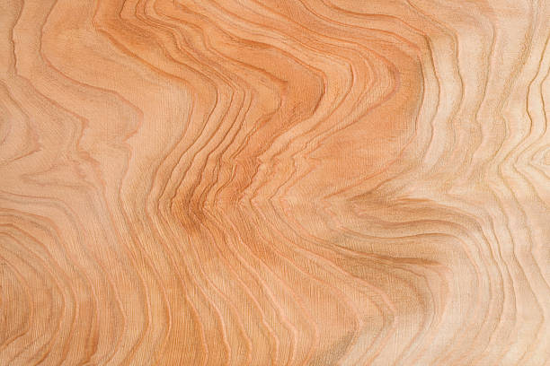 bela placa de madeira de cedro - wood tree textured wood grain imagens e fotografias de stock