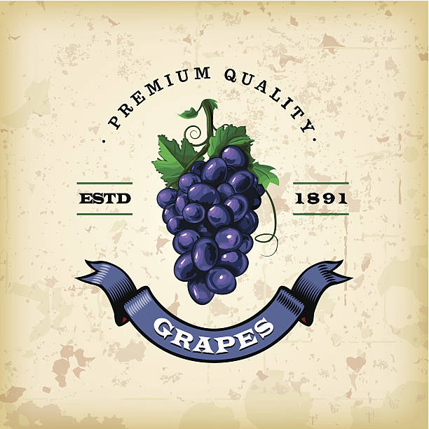 F&B Labels - Grapes vector art illustration