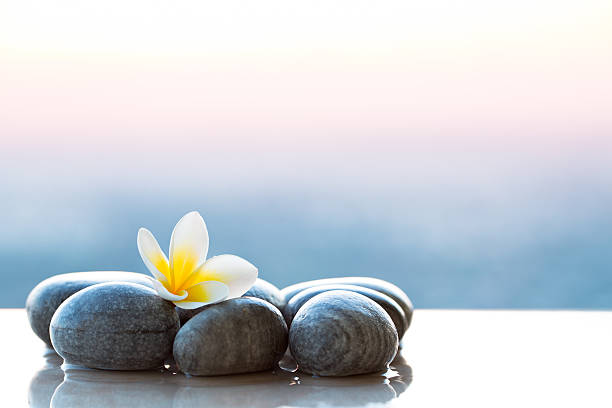 Plumeria flower and stones for spa background