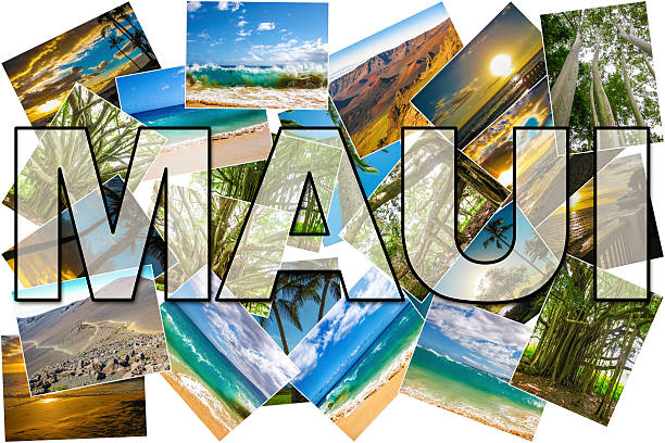 istock Maui pictures collage 497534174