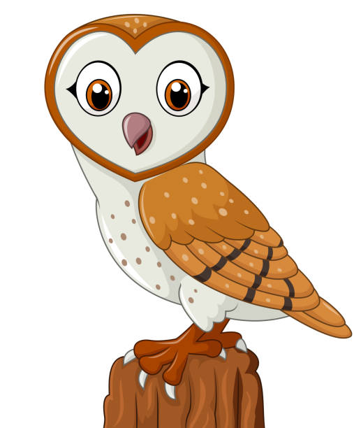 kreskówka, płomykówka na białym tle - owl endangered species barn night stock illustrations
