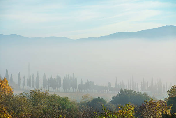 nice en toscane - siena province tuscany italy fog photos et images de collection