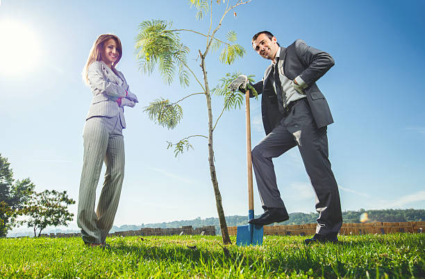 Business colleagues plating tree and looking at camera.