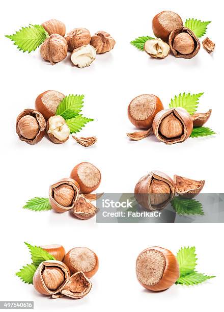 Hazelnuts Isolated Stock Photo - Download Image Now - Hazelnut, Hazel Tree, Cut Out