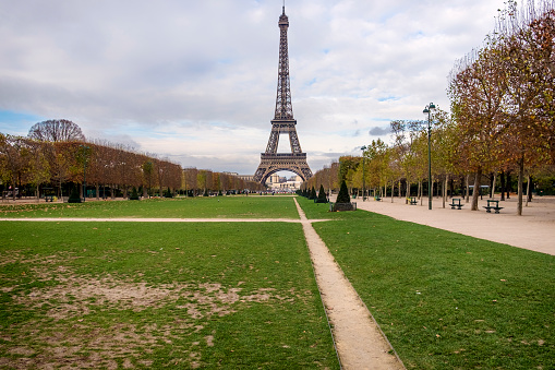 Eiffel Tower seen from the champ de mars park.