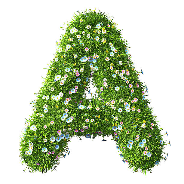 istock Letter A Of Grass And Flowers 497542594