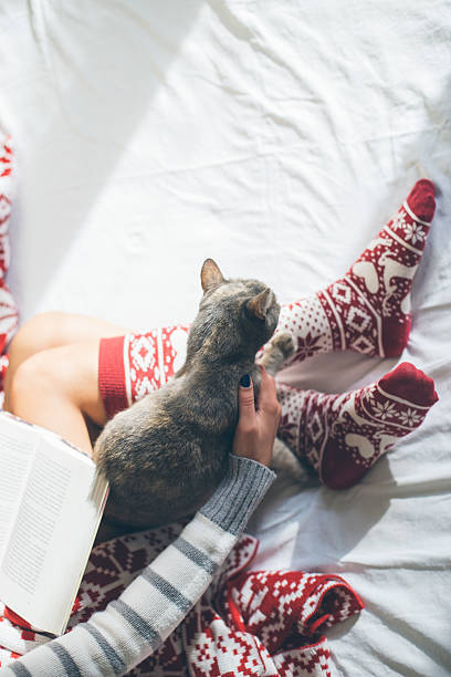 istock Girl in bed reading a book with her cat 497542656