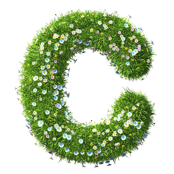 istock Letter C Of Grass And Flowers 497542706