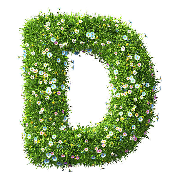 istock Letter D Of Grass And Flowers 497542752